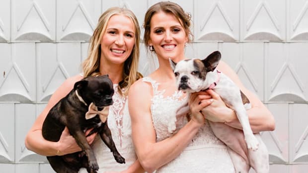 weeding_photos_of_vanerquigs_with_dogs.jpg
